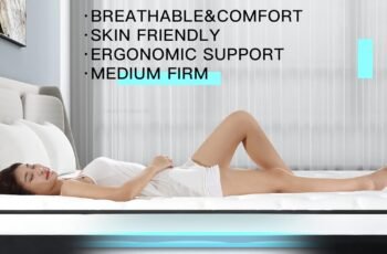 12 Inch Euro Top Mattress Review