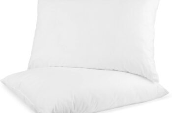 Digital Decor Premium Gold Hotel Pillows Review