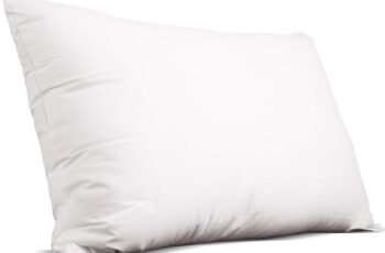 EDOW Luxury Soft Pillows Review