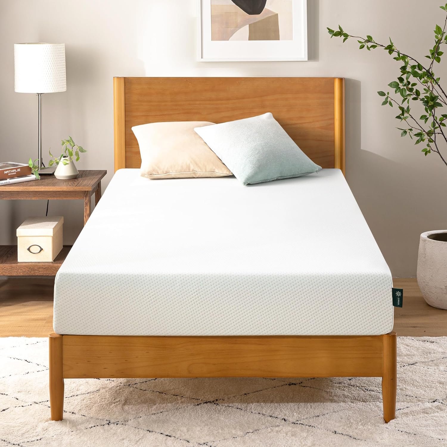 ZINUS 10 Inch Green Tea Memory Foam Mattress [New Version], Queen, Fiberglass free, Medium Firm Feel, Zoned Pressure Relief, Certified Safe Foams  Fabric, Mattress in A Box